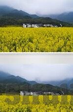 麻豆av天堂一区二区香蕉-范文，领略网络世界的多样色彩——麻豆AV天堂一区、二区的视觉盛宴探索